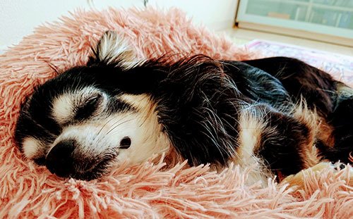 占い師葉ノ宮のお気に入り写真2